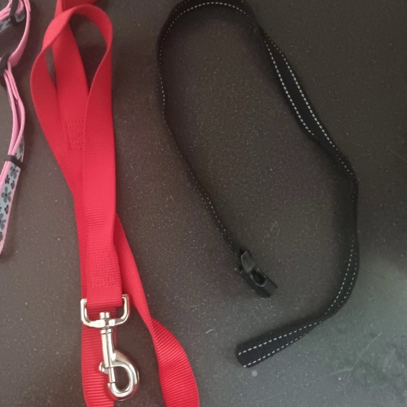Leashes - Picture 14 of 15
